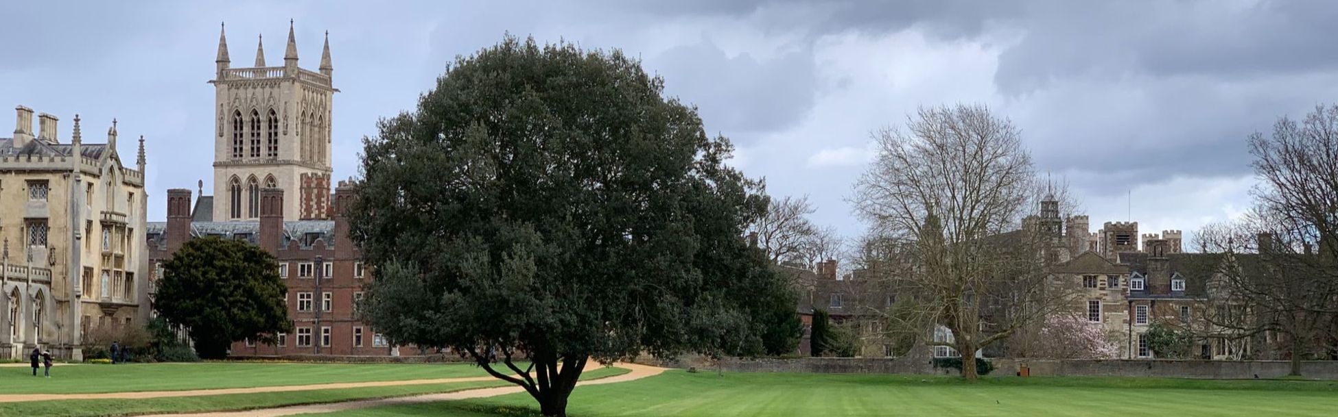 Leaders in millimetre wave fixed wireless access & backhaul